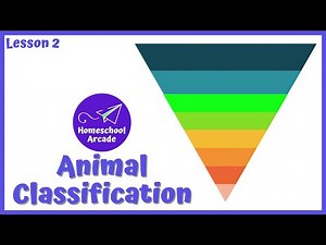 Animal Classification