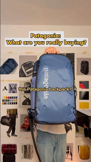 Patagonia black hole mini MLC 30L: what are you paying for?
