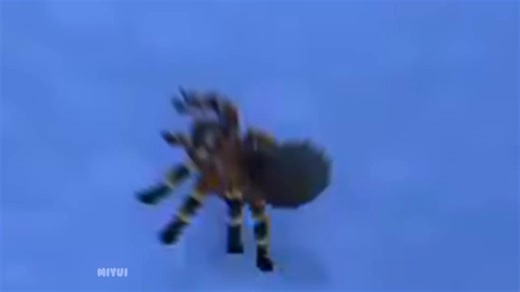 Funny Animal Crossing Meme Compilation