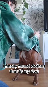 8.3M views · 10K reactions | "Finally dog products that are made by breed instead of generic sizing. Most things I find are too small around the chest, this fits perfect." | Spark Paws | Facebook