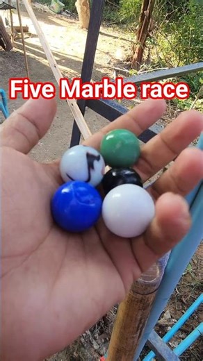 Five Marbles Run Race Rolling Sounds on board |Relaxing Marble