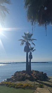 Another beautiful morning in Cyprus 🏖 I think September is the best month here, do you agree? ☀️ #visitcyprus #holidaysincyprus #livingincyprus #discovercyprus #cyprus #Oroklini | Lovin Cyprus