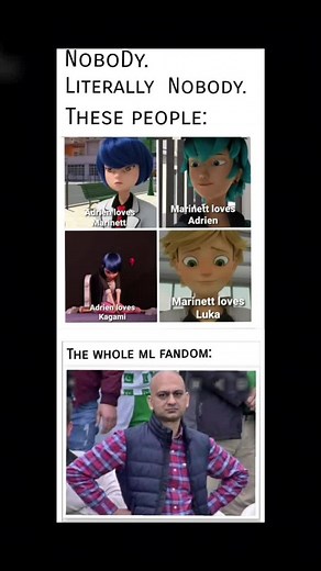 Best Miraculous Memes Compilation