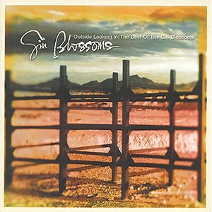 Gin Blossoms - Outside Looking In: The Best Of The Gin Blossoms