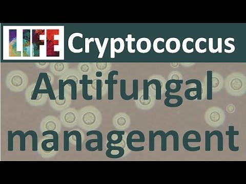 Cryptococcal meningitis: treating with antifungals