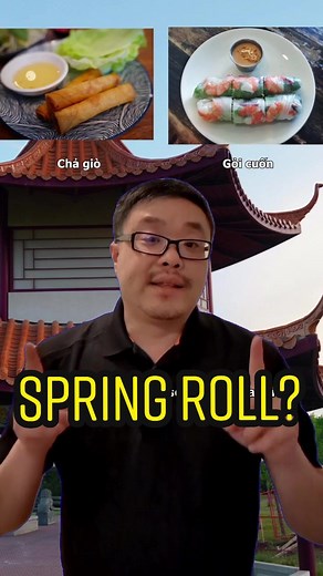 Canadian Egg Roll vs Spring Roll: What's the Difference?