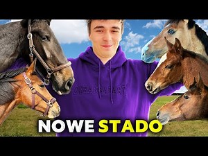 ŹREBACZKI poznają ŹREBACZKI