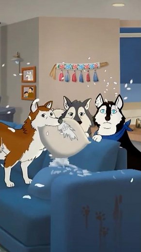 It's a husky takeover of the living room! 🐾