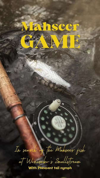 Mahseer. Besar maupun Kecil, untuk ikan pegunungan ini tidak akan pernah bosan. menggunakan teknik Fly fishing “Tightline” Nymphing, Tenaga ikan yang kuat memaksa kita untuk lari larian mengikuti Mahseer. Rod 2wt by @kharmaacustomworks #flyfishing #fishing #wildlife #mancing #flyfishinglife #flyfishingtiktok #flyfishingindonesia #fyp #nymphing #mancingmania #wonosobo