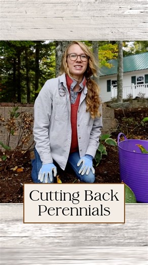 In this video, Sara shares the key steps for cutting back perennials to keep your garden thriving. 🌿 Learn which plants to trim, what tools to use, and how to prep for next season. Questions? DM us anytime! | Frost Farms