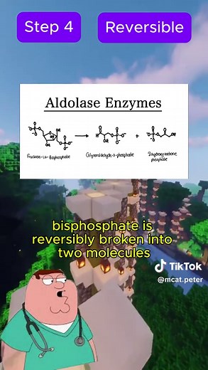 MCAT Peter on TikTok