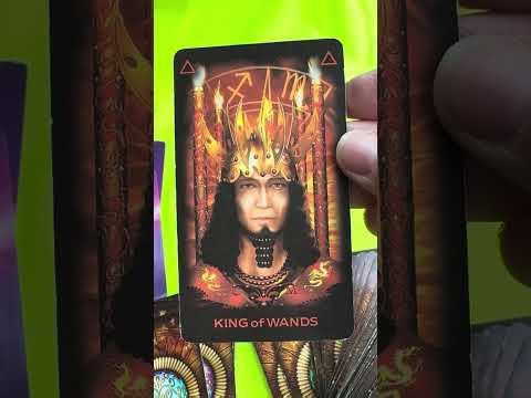 ENERGY ORACLE TAROT EADING✨FREEDOM TO CREATE FROM YOUR PASSION🔥