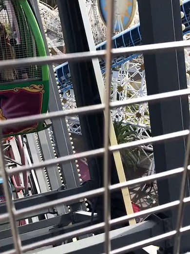 カリフォルニアディズニーランドの観覧車