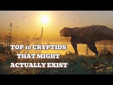 TOP 10 CRYPTIDS THAT MIGHT ACTUALLY EXIST