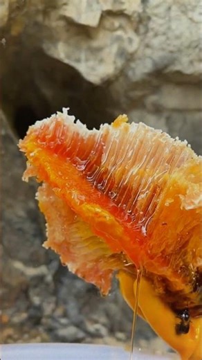 Liquid Gold Dripping in Slow Perfection 🍯 #shorts #goldenhoneycomb #trendingshorts