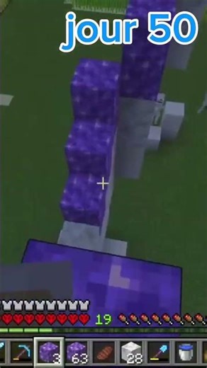 Day 50 of the hardcore Minecraft adventure