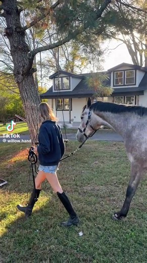 willow hand (@willow.hand43)’s videos with original sound - willow hand