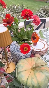 Outdoor tablescapes are my favorite! 🍂 Comment SHOP below to receive a DM with the link to shop this post on my LTK ⬇ https://liketk.it/4SUqS #ltkvideo #ltkhome #ltkseasonal 🍂This fall one features my favorite color blue, pumpkins, apples from our yard, patterns and of course my ZINNIAS! Nothing was off limits and that’s why I think it turned out to be one of my favorites! This is where creating comes to life and brings me joy.I’ll share more of a slowed down version in my stories too if you a