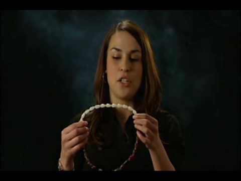 How to Use CycleBeads