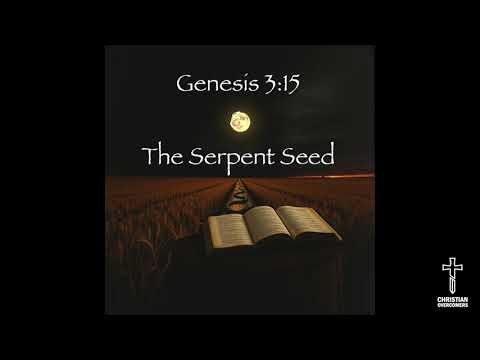 Mystery of The Serpent Seed (Song)