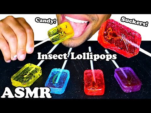 ASMR INSECT LOLLIPOP SUCKER *CANDY* SCORPION, ANTS, CRICKET, & WORM (EDIBLE BUGS) JERRY *HOTLIX*