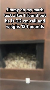 Poor jimmy 😭😭 #art #memes #funny #phonk #audio #animation #rabbit #bunny #pets