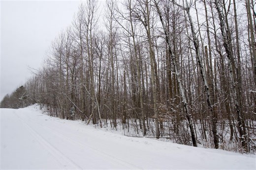 Xxxx Sheridan Woods Ln NE, Outing, MN 56662 - MLS 7036292 - Coldwell Banker