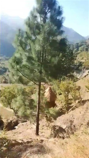 भक्ति में ही शक्ति है जय भोले बाबा की