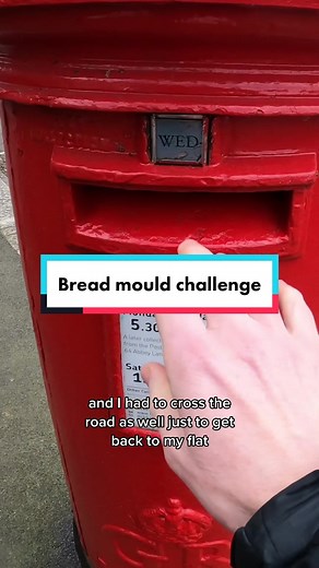 When Does Mould Form on Food?