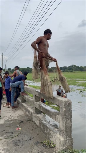 30K views · 141 reactions | Amazingly Fish Catching by Cast Net | Fishing & Village Tradition | Facebook