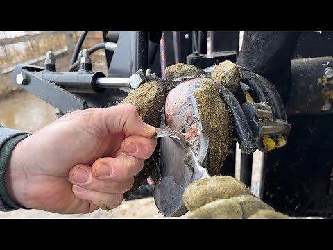 The RELIEF this COW FELT was QUITE SATISFYING