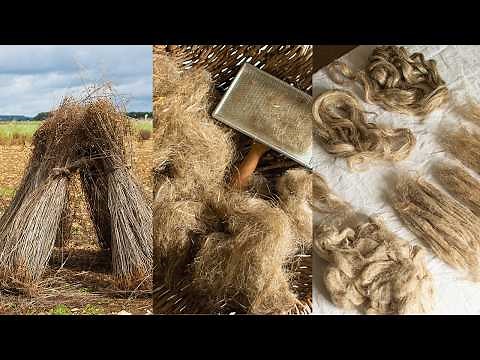 Rescuing waste fibre: processing flax tow for spinning