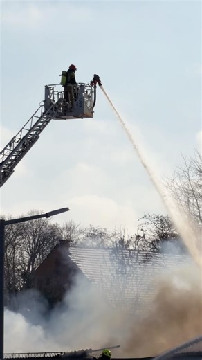 Ladybug fire in Lower Silesia #polkowice #docsfly #docs_fly