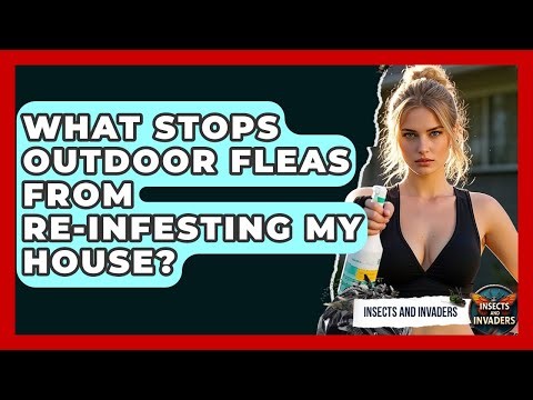 What Stops Outdoor Fleas From Re-infesting My House? - Insects and Invaders