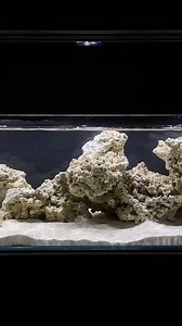 30K views · 446 reactions | Watch this saltwater aquarium transform and come to live! 朗 #aquarium #pets #fishtank #reeftank #saltwateraquarium | Danny's Aquariums | Facebook