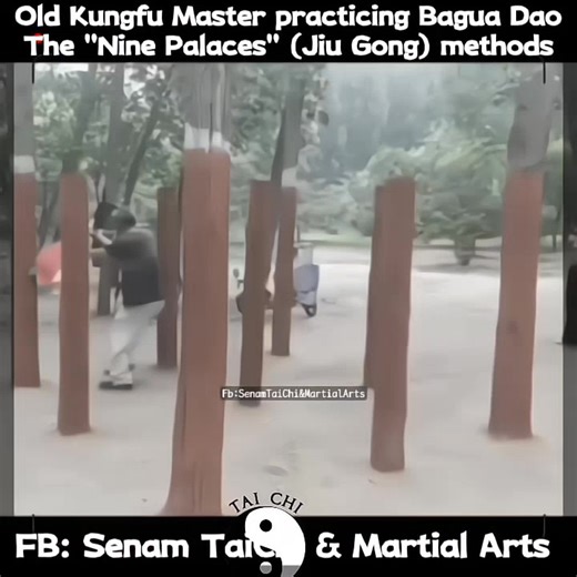 Old Kungfu Master practicing Bagua Dao The "Nine Palaces" (Jiu Gong) methods. #baguadao #nineplacepoles #baguataolu #kungfumaster | Senam Tai Chi & Martial Arts