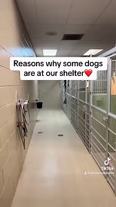 809K views · 14K reactions | Reasons why some dogs are at our shelter. ❤️梁 | Delta Animal Shelter | Facebook
