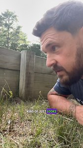 50K views · 3.2K reactions | Communicating with a Rescued Tortoise 勞 | Garden State Tortoise | Facebook