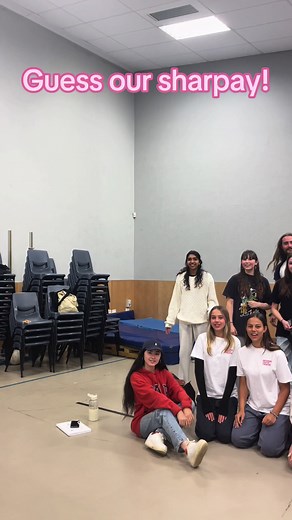 Guess Our Sharpay Characters in NYT's Triple Cast Production of Disney's High School Musical