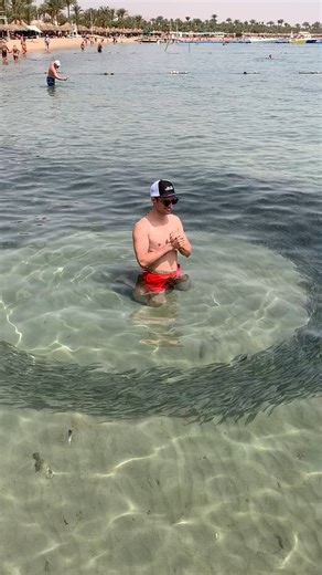 907K views · 10K reactions | The main reason you should get a Chosen hat is what happens when you swim in it... Credit to ﻿@lipetskyigor on IG for this video. | Dallas Jenkins | Facebook