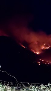 Rengo Portal on Reels