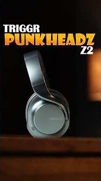 Best Premium Headphones Under 1000 TRIGGR Punkheadz Z2 review