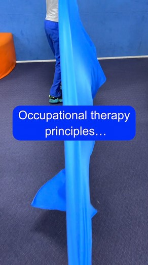 4.1K views · 398 reactions | OCCUPATIONAL THERAPY PRINCIPLES...