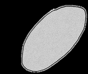 Levallois technique - Alchetron, The Free Social Encyclopedia