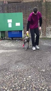 5.4K views · 575 reactions | Happy Sunday FLR family  A little...