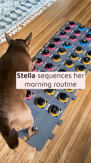 67K views · 541 reactions | I see so much in common between my...