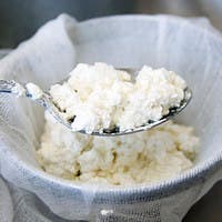 Cheese Making Basics