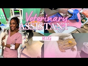 Day in the Life of a Vet Assistant 🐾 | Surgeries , Snuggles & Snips ✂️🎀
