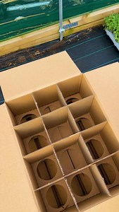 We can almost smell the herbs through this video! 💚💚🪴 | Urban Herbs