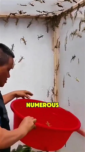 466K views · 1.2K reactions | A man is seen using his bare hands to...